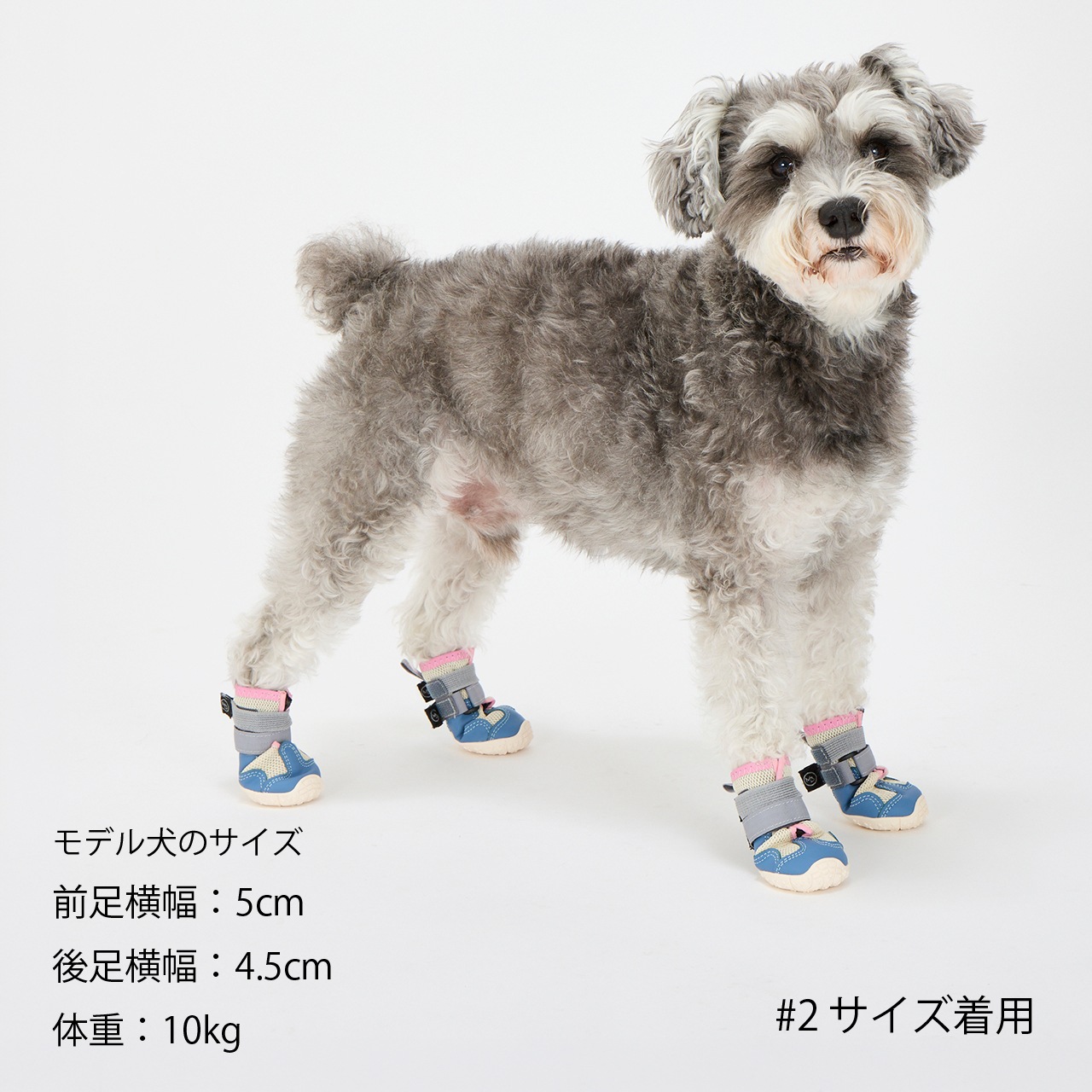 MB SNEAKERS | ACCESSARY | 犬服 MANDARINE BROTHERS マンダリン