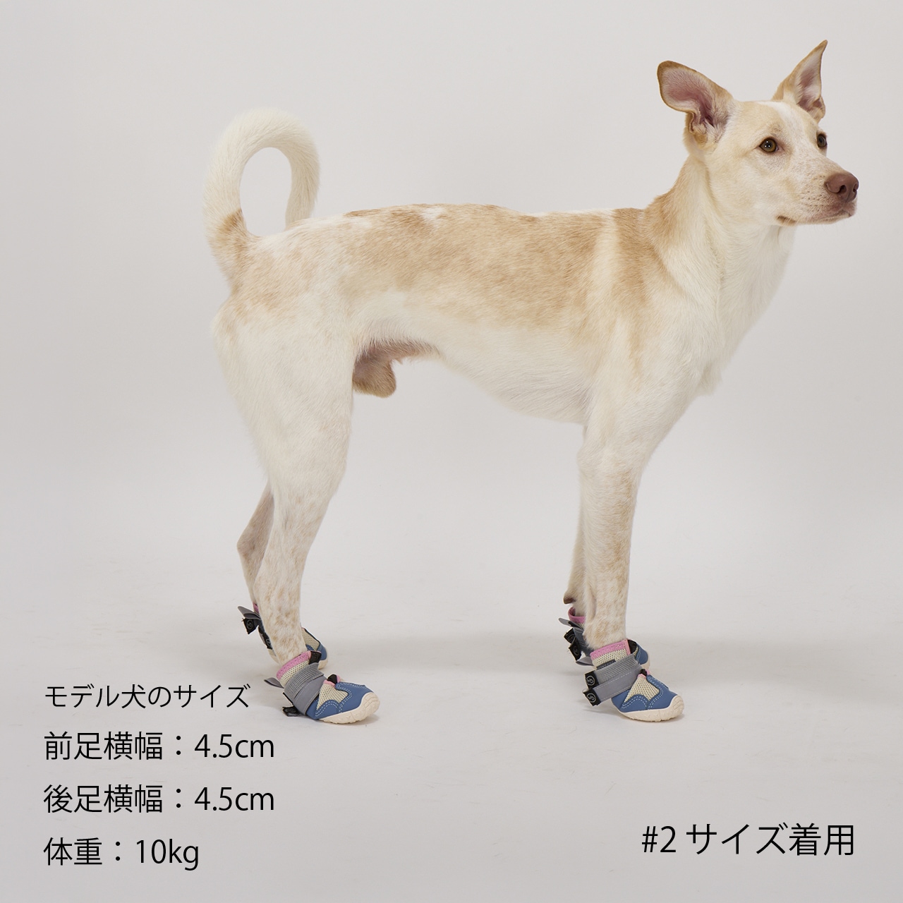 MB SNEAKERS