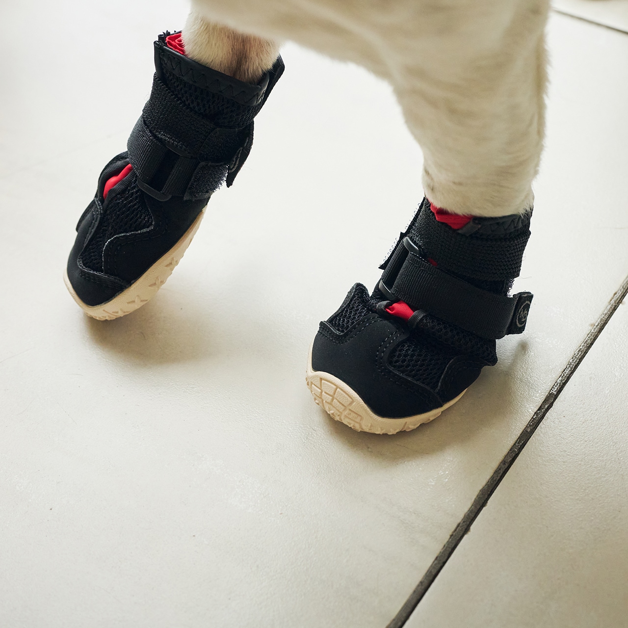 MB SNEAKERS