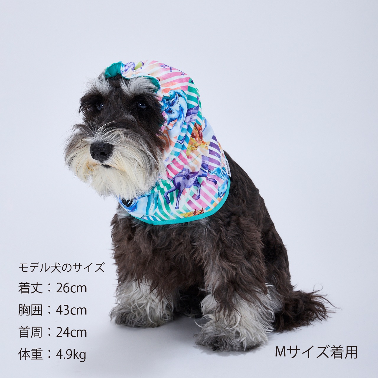 REVERSIBLE SNOOD | ACCESSARY | 犬服 MANDARINE BROTHERS マンダリン
