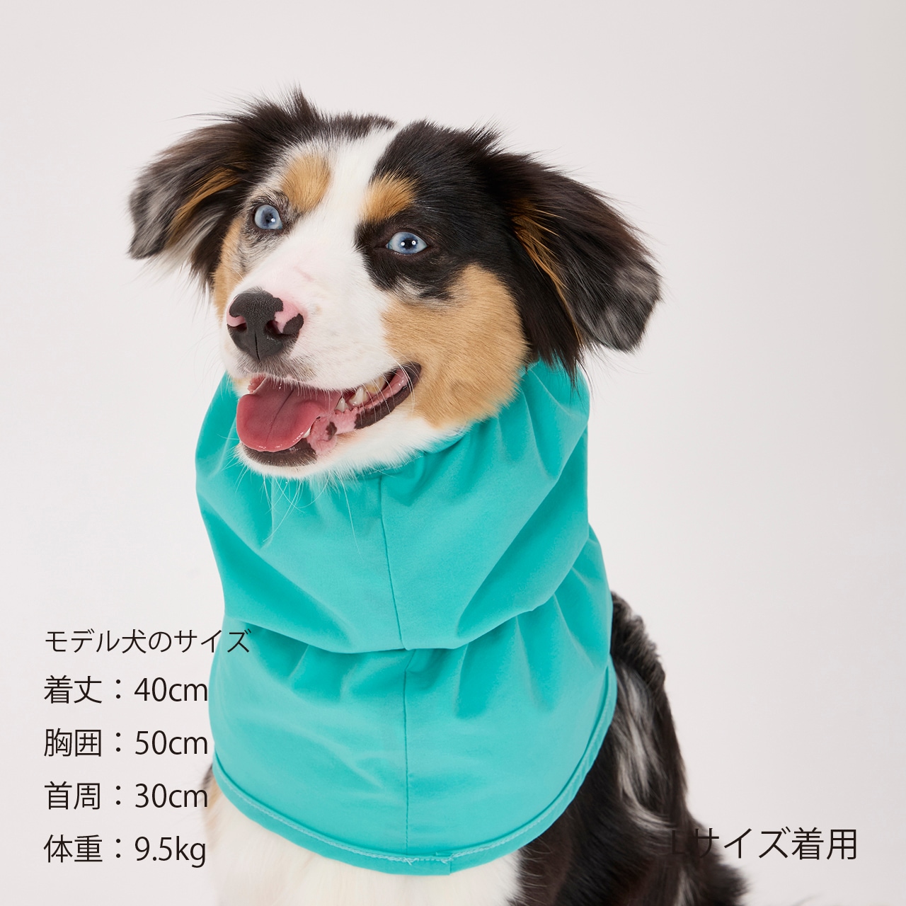 REVERSIBLE SNOOD | ACCESSARY | 犬服 MANDARINE BROTHERS マンダリン