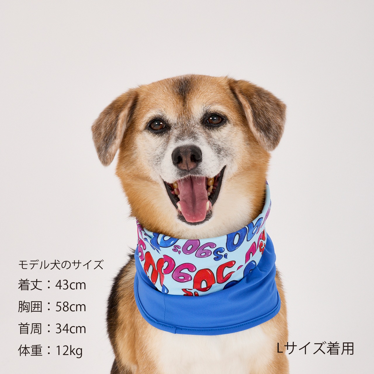 いぬ REVERSIBLE SNOOD | ACCESSARY | 犬服 MANDARINE BROTHERS マンダリン