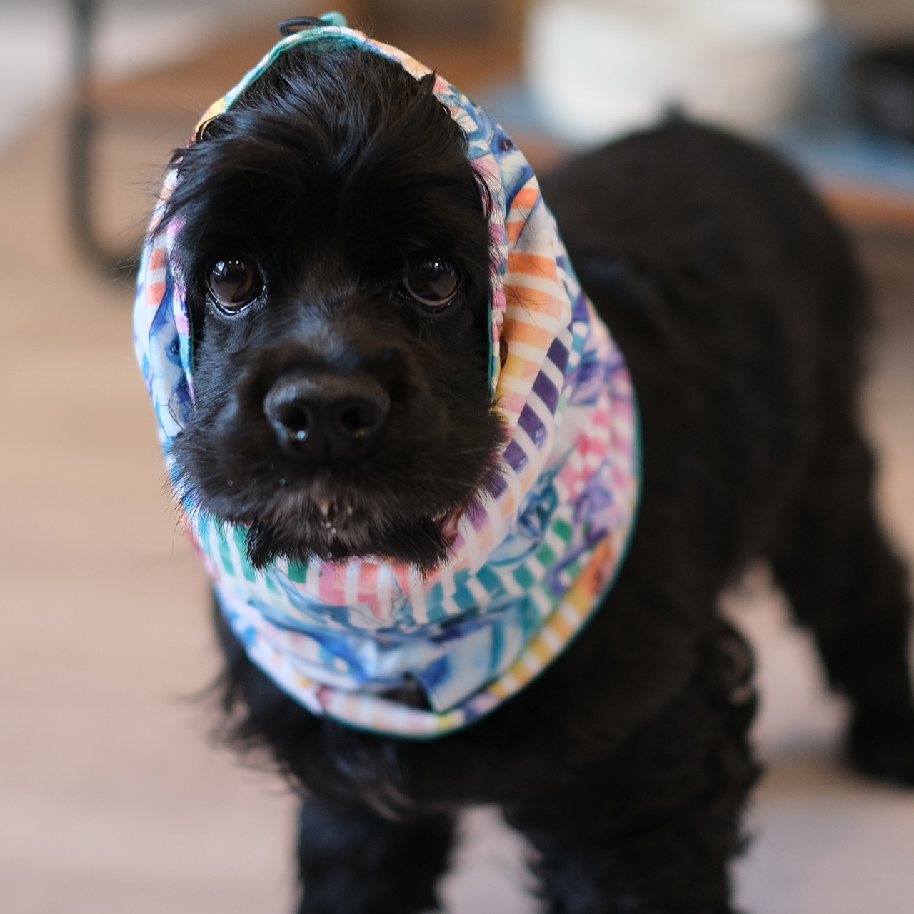 ミンクリバーシブルスヌード REVERSIBLE SNOOD | ACCESSARY | 犬服 MANDARINE BROTHERS マンダリン