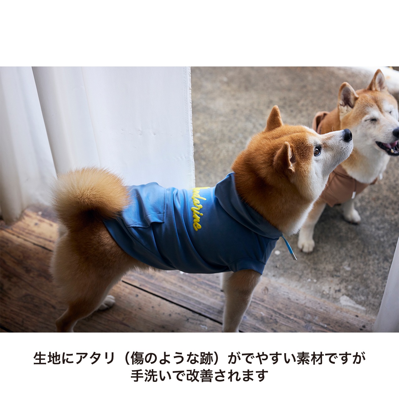 SILKY HOODIE | WEAR | 犬服 MANDARINE BROTHERS マンダリンブラザーズ公式