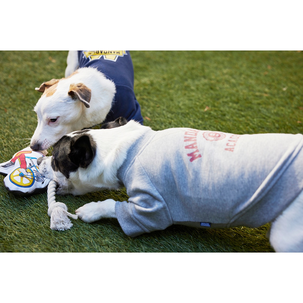 SUPER CRAZY ROPE TOY