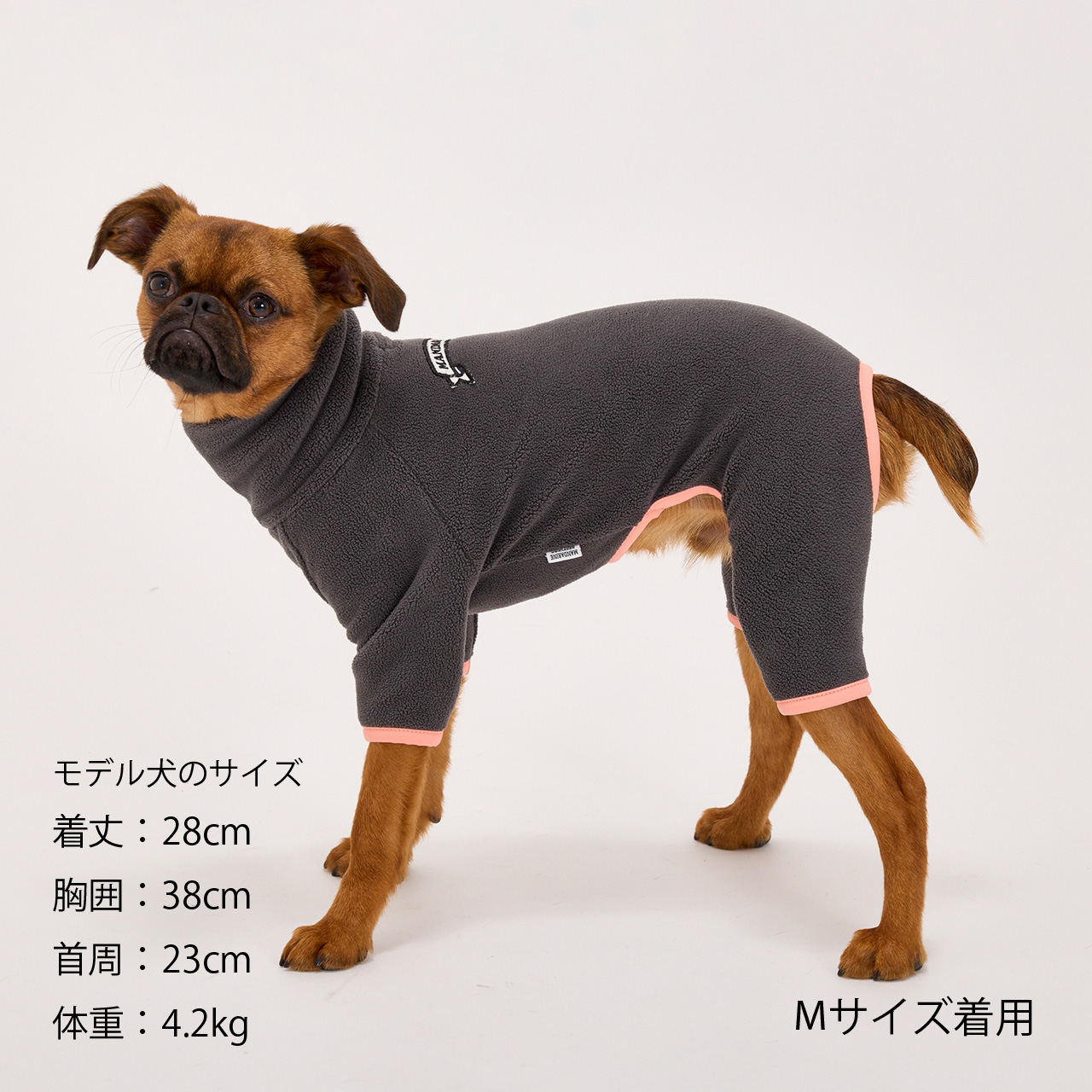 FRAME LOGO BOA SUIT | WEAR | 犬服 MANDARINE BROTHERS