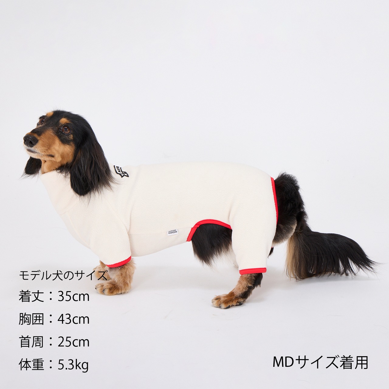 FRAME LOGO BOA SUIT | WEAR | 犬服 MANDARINE BROTHERS