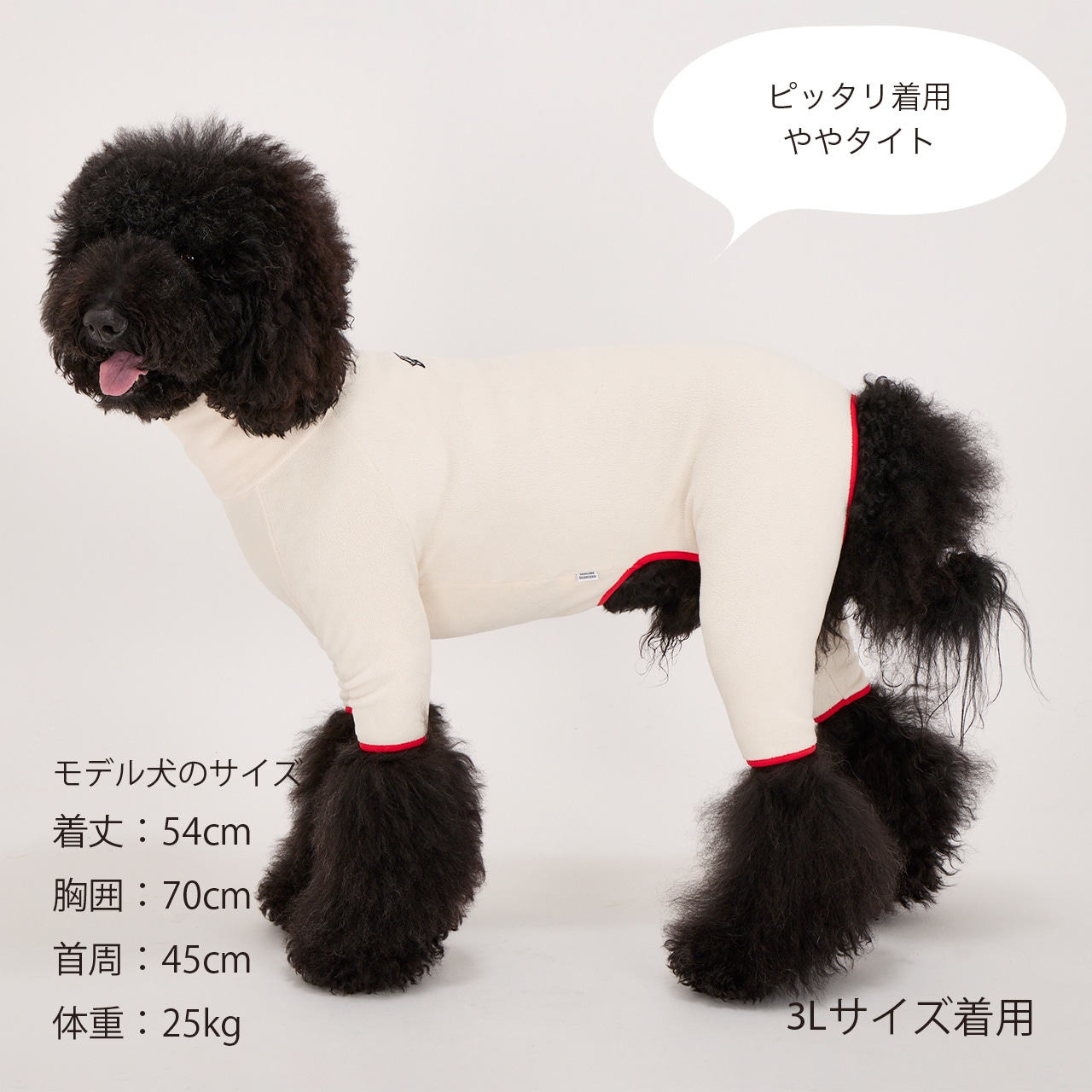 FRAME LOGO BOA SUIT | WEAR | 犬服 MANDARINE BROTHERS