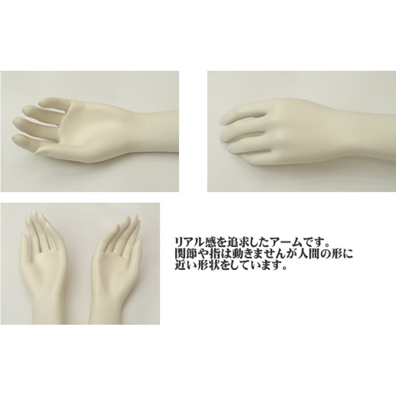 󥺡ꥢޥͥ(MގٿȎľӎ͎Ďގڎ)