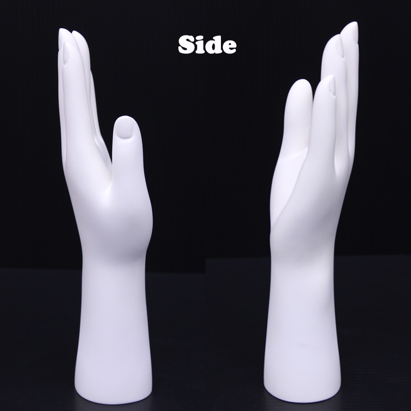 ��ǥ��������ϥ�ɥޥͥ���(���硼��)