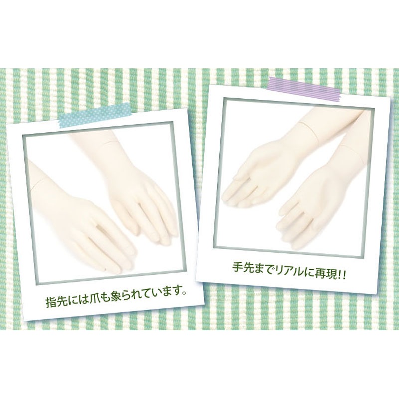 ��󥺡����������ܥǥ�(M��������A���Ӥ���)