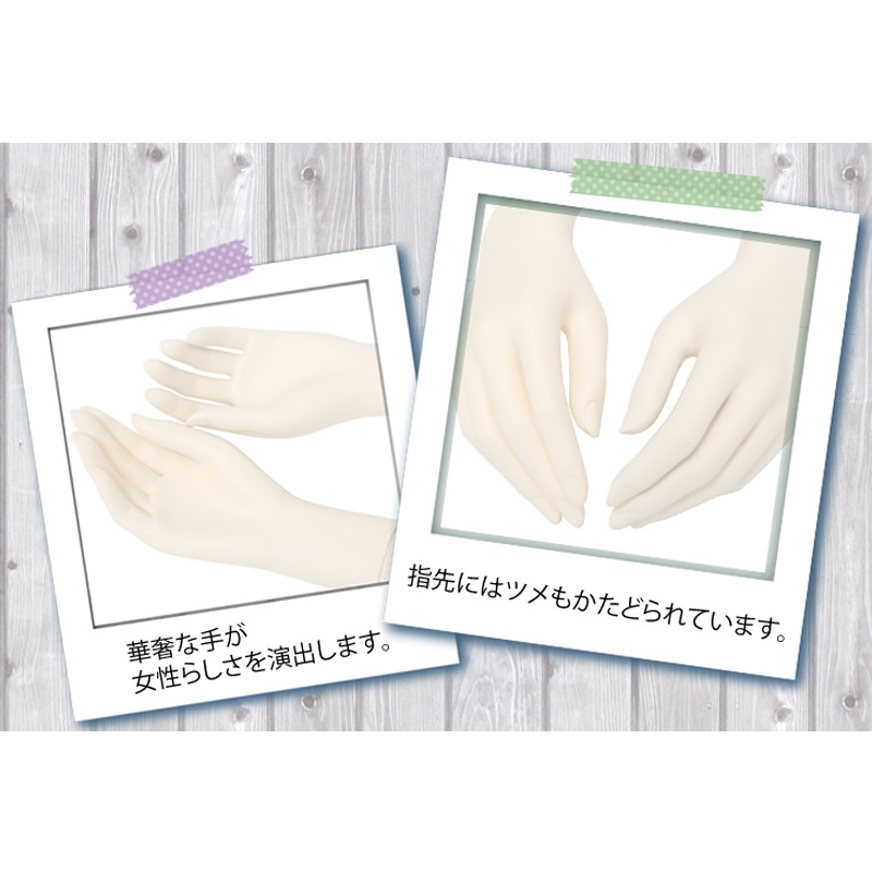 ��ǥ��������������ܥǥ�(7�接A���Ӥ���)