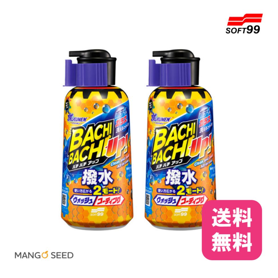 SOFT99 ALAUNEN バチバチアップ ウォッシュ＆コート 2本セット