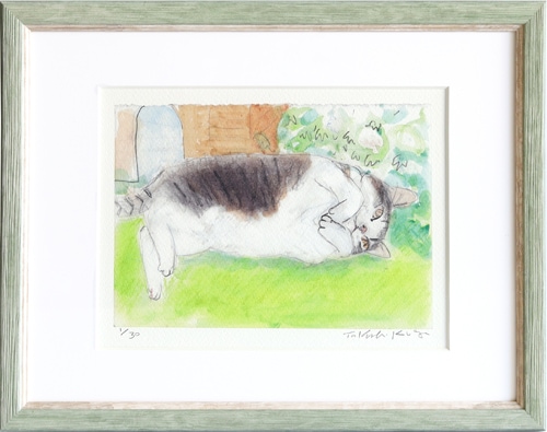 ��Ź�����ǲ� �ײ�ǭ�ߥ˻�ŵ 82 �ֲ�ǭ�ߥå��������졼���ӡ�����ξ�Ǥ��������ǭ��