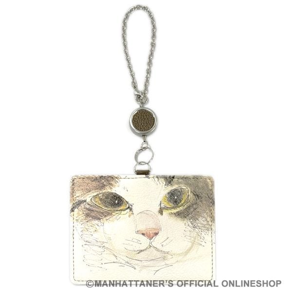 ۥǥѡ꡼դѥ֥եǥꥳǤ