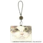 ۥǥѡ꡼դѥ֥եǥꥳǤ