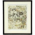 Źꡡ¥ޥϥåʡǲ<br>¤˽