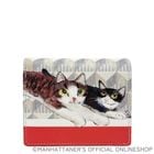 ��Υ����ѡ������ܥå������������ޤ���ۡ�����Ū���ʡ�