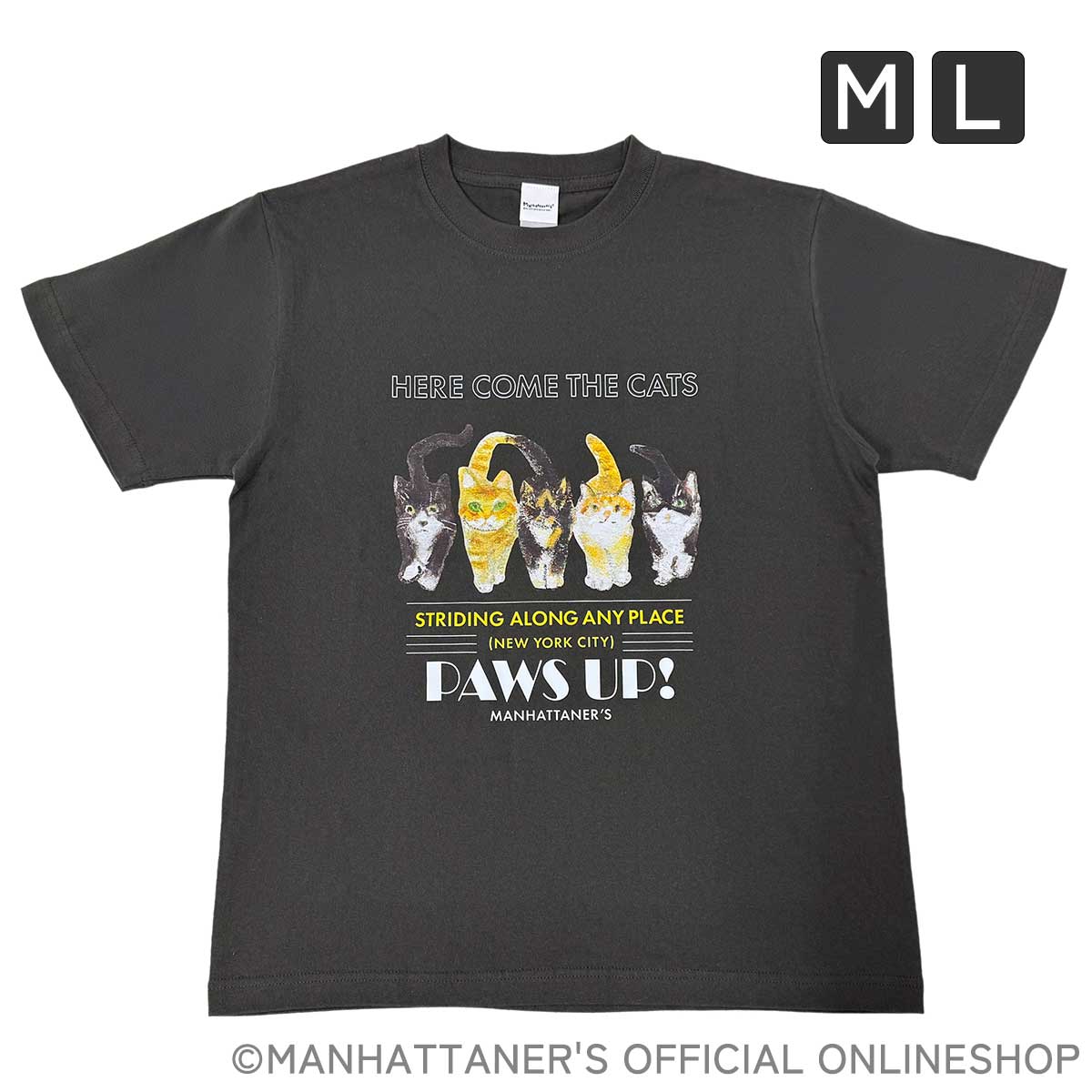 アートTシャツ「アンパイアロックを闊歩する」 | すべての商品