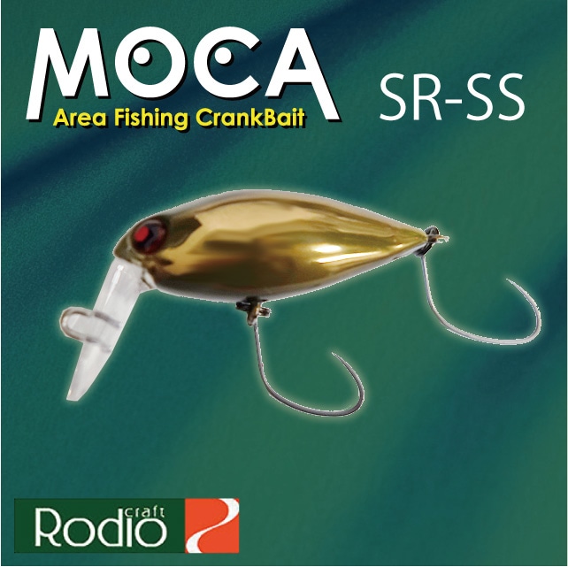 ���ǥ�����ե� �⥫ SR-SS  2�եå�