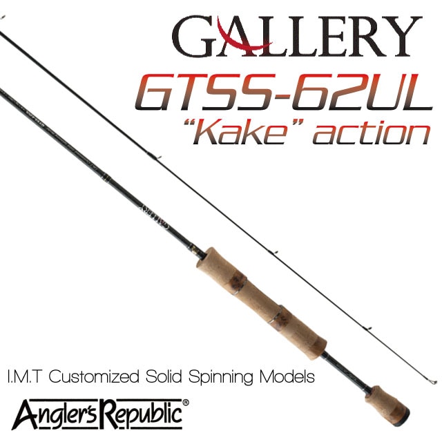 ���󥰥顼����ѥ֥�å� �����꡼ GTSS��62UL