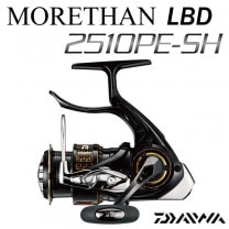 ������ 17 �⥢����LBD 2510PE��SH