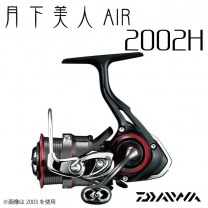 ������ 17 �����AIR 2002H