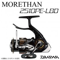 ������ 17 �⥢����LBD 2510PE