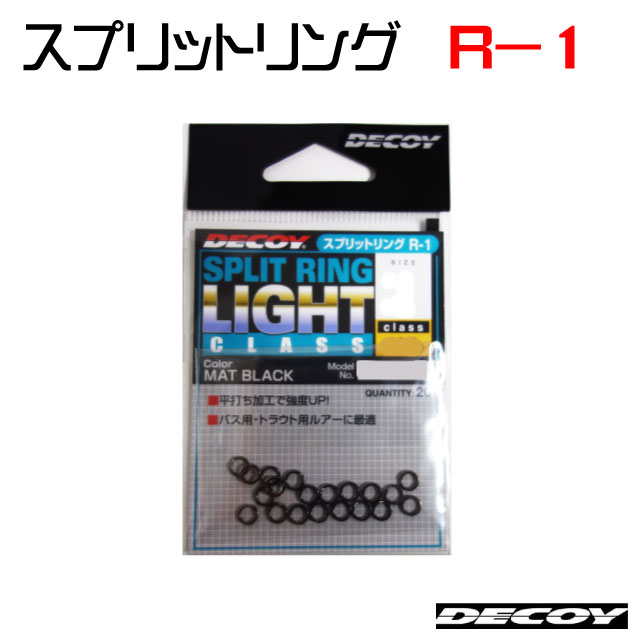 �ǥ��������ץ�åȥ�� �饤�ȥ��饹 �֥�å� R-1