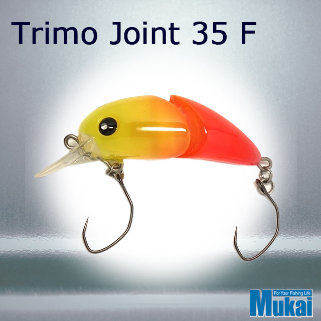 �५�� �ȥ�⥸�祤��� 35MR F