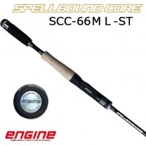 󥸥󡡥ڥХ  SCC-66ML-ST