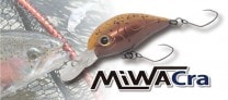 �����ӡ��饤�� MiWACra (�ߥ說���MR��