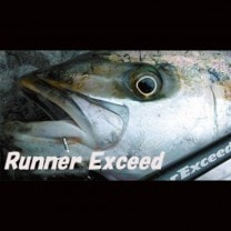 �ڤ����󤻡ۥ�åץ�ե��å��㡼�����ʡ����������ɡ�110H��Nano PlugModel