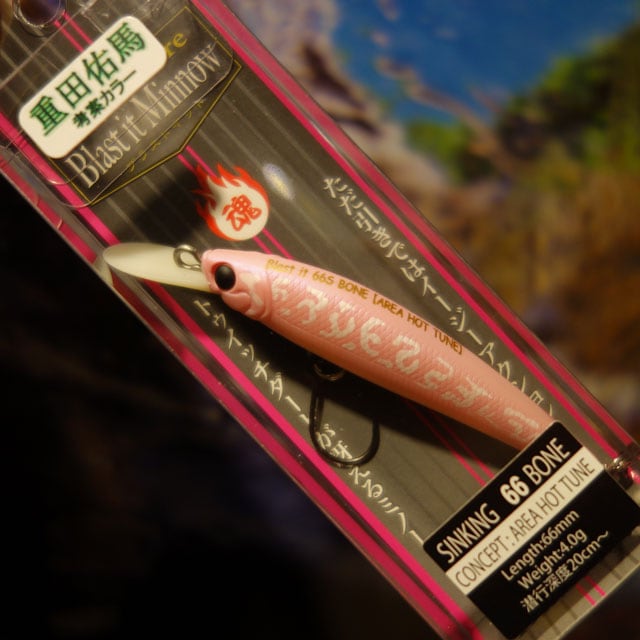 åȥ ֥饹åȥߥΡ 66 BONE