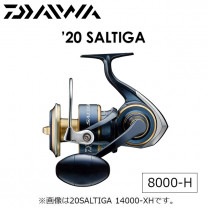 ������  ��20 ����ƥ���8000-H