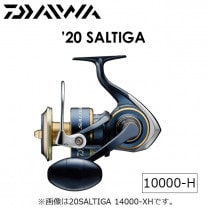 ������  ��20 ����ƥ���10000-H