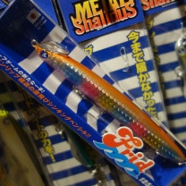 �֥롼�֥롼���ե�å� 125S