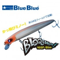 �֥롼�֥롼���֥���������165F slim