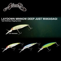 Υ꡼ 쥤ߥΡǥ 㥹ȥ參