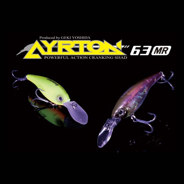 ���󥯥�ե� ������ȥ� 63MR