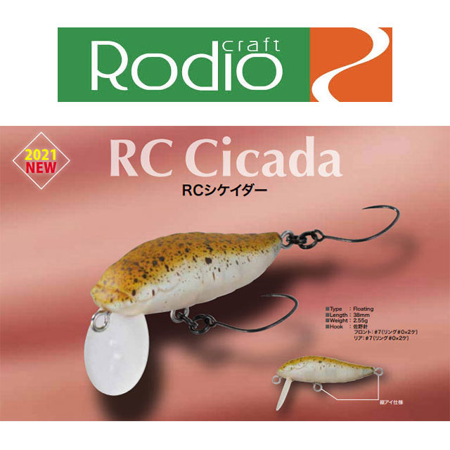 ���ǥ�����ե� RC����������