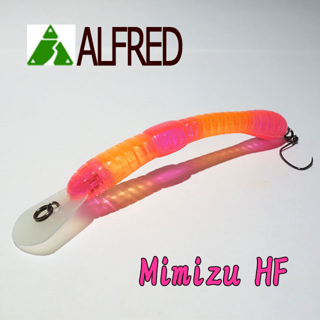 ミミズ Viewer discretion advised] Giant leech swallows earthworm whole