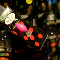 ǥե եåȥ⥫Jr. DR(F)