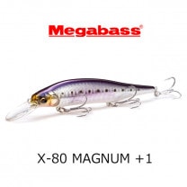 ᥬХX-80 ޥʥࡡץ饹1