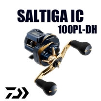 ������ 21 ����ƥ��� IC ������PL-DH