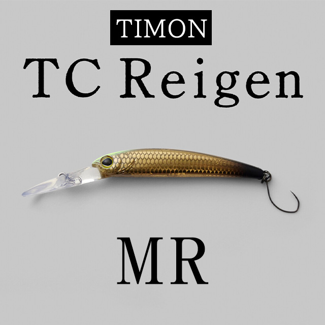 ƥ TC쥤 MR