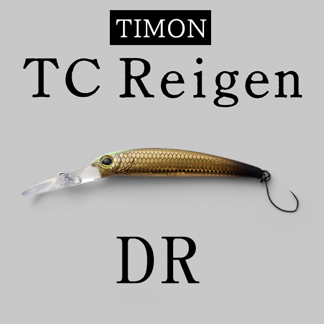 ƥ TC쥤 R
