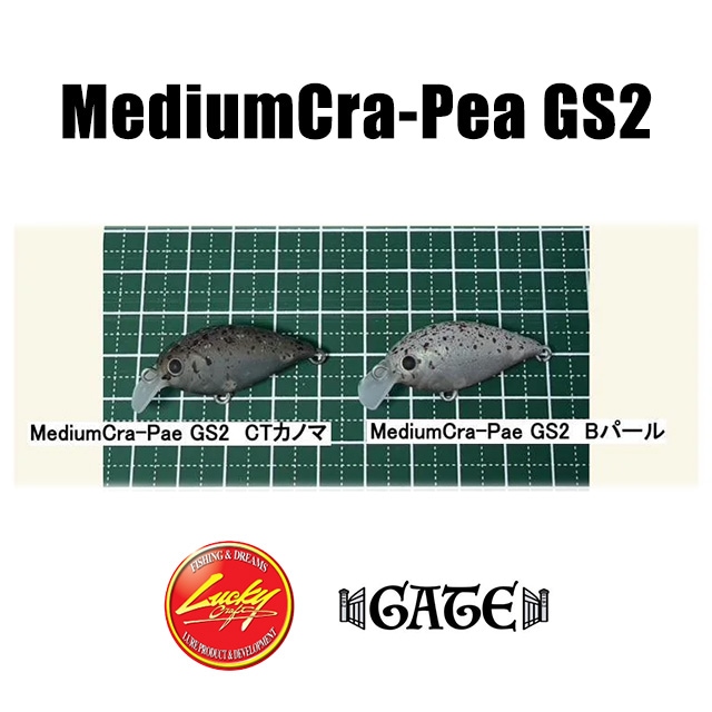 ラッキークラフト×GATE ミディアムクラピー GS2 | トラウトルアーから