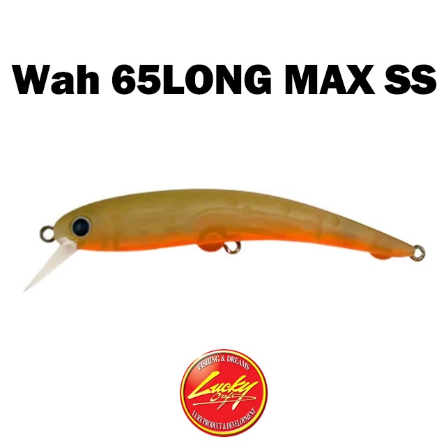 åե 復65 LONG MAX SS