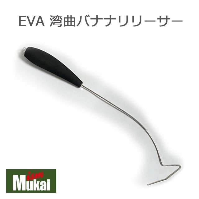 ५ EVA  ѶʥХʥʥ꡼